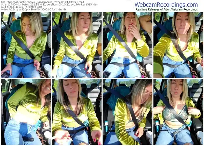stripchat-_ninaluvsins_-08-24-2024-13-35-41
