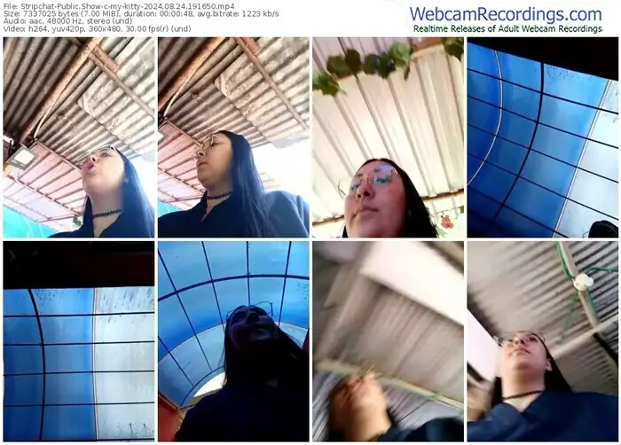 stripchat-my-kitty-08-24-2024-19-16-50