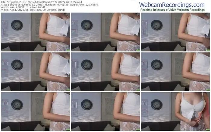 stripchat-janetkanef-08-24-2024-07-19-15