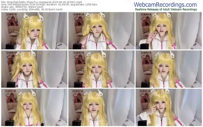stripchat-ll-orangecat-08-24-2024-20-34-11