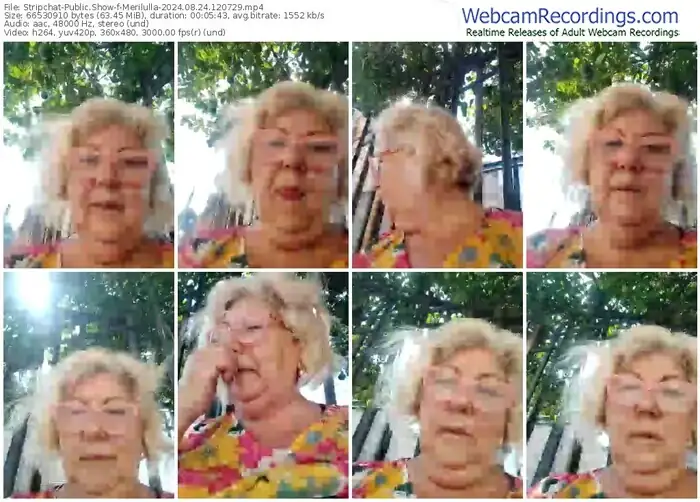 stripchat-merilulla-08-24-2024-12-07-29