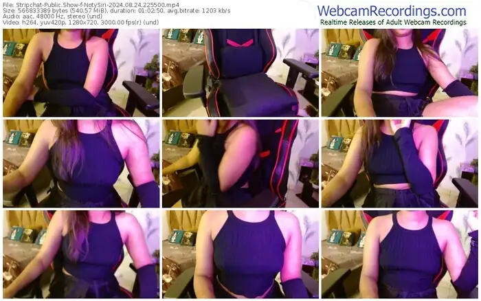stripchat-notysiri-08-24-2024-22-55-00