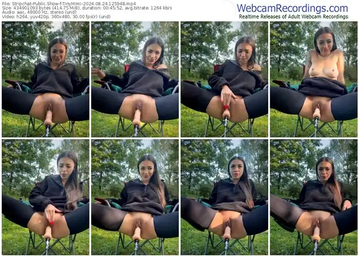 stripchat-tinymimi-08-24-2024-12-59-48
