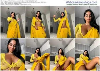 stripchat-_adelle-08-24-2024-13-02-55