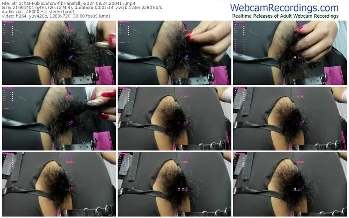 stripchat-brianahill_-08-24-2024-20-04-17