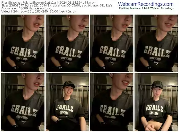 stripchat-1a1a1alll-08-24-2024-15-41-44