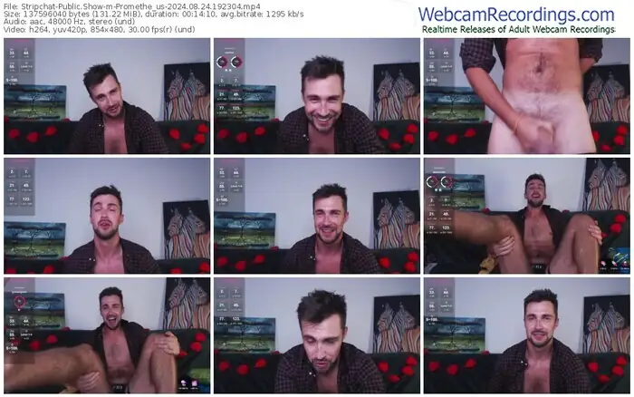 stripchat-promethe_us-08-24-2024-19-23-04