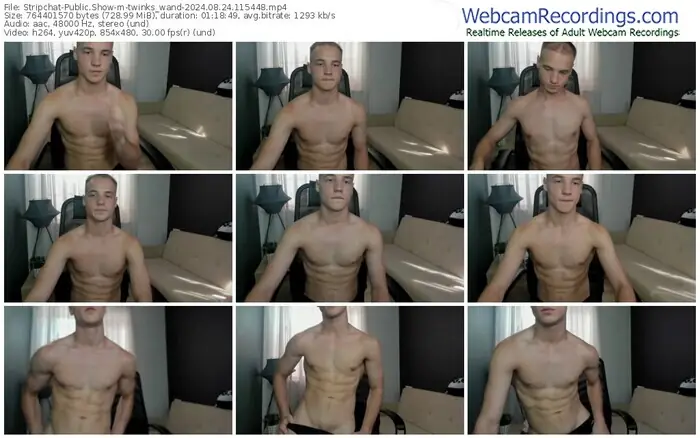 stripchat-twinks_wand-08-24-2024-11-54-48