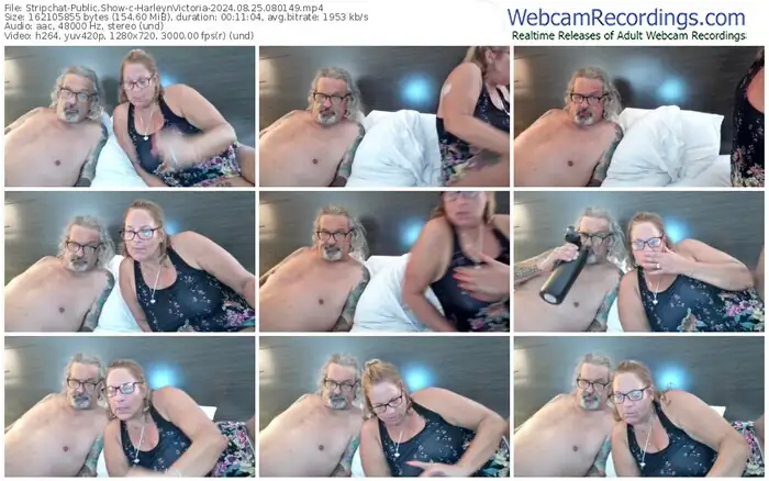 stripchat-harleynvictoria-08-25-2024-08-01-49