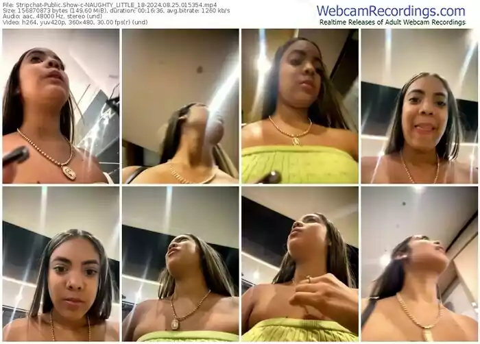stripchat-naughty_little_18-08-25-2024-01-53-54