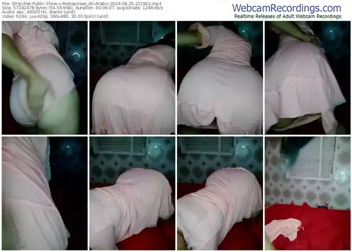 stripchat-romayssae_ali-arabic-08-25-2024-22-29-02