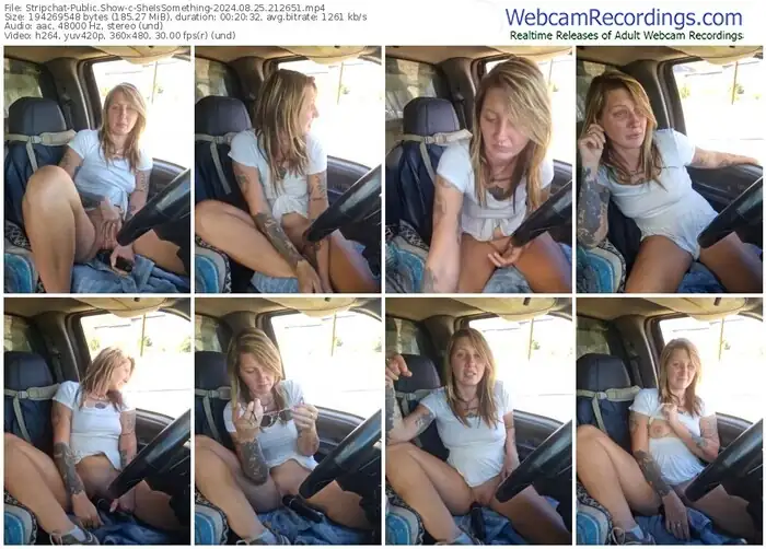 stripchat-sheissomething-08-25-2024-21-26-51