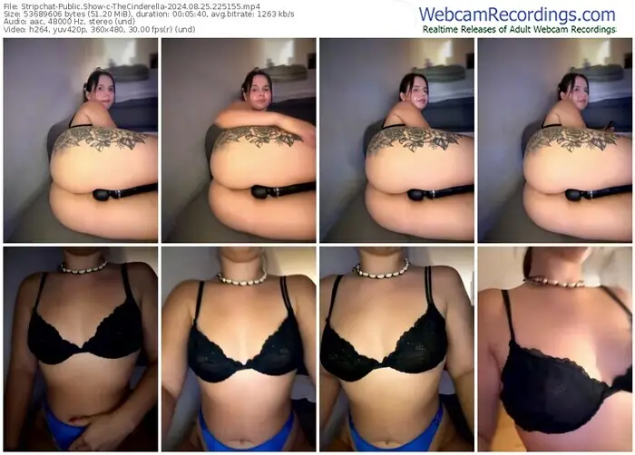 stripchat-thecinderella-08-25-2024-22-51-55