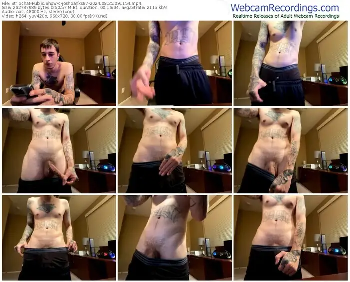 stripchat-joshbanks97-08-25-2024-09-11-54