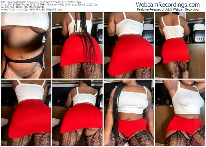 stripchat-juicybatate-08-25-2024-07-33-58