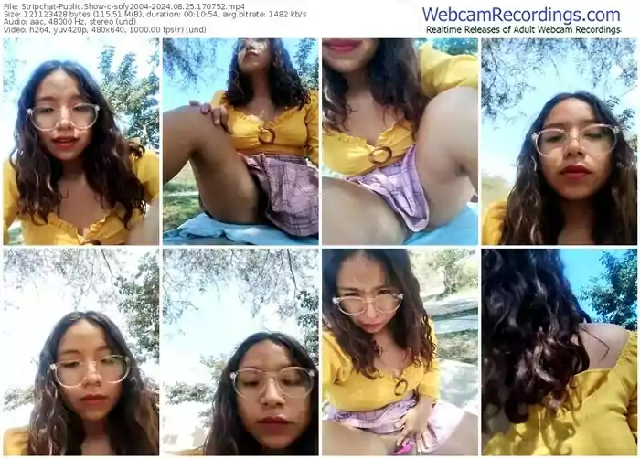 stripchat-sofy2004-08-25-2024-17-07-52