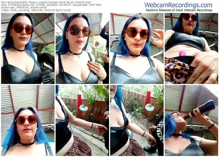 stripchat-sophie_banger-08-25-2024-16-46-23