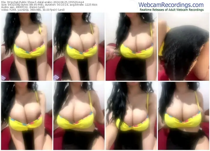 stripchat--dalal-arabic-08-25-2024-15-55-29