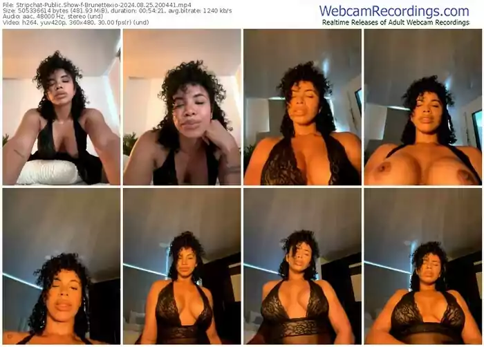 stripchat-brunettexio-08-25-2024-20-04-41