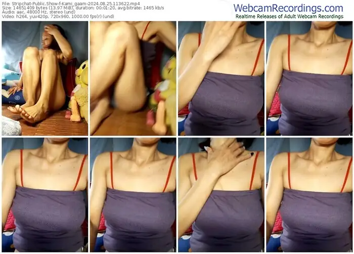 stripchat-kami_gaam-08-25-2024-11-36-22