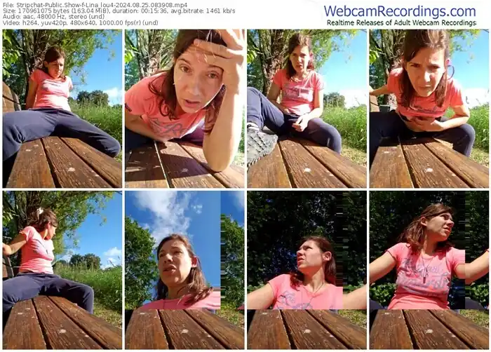 stripchat-lina_lou4-08-25-2024-08-39-08