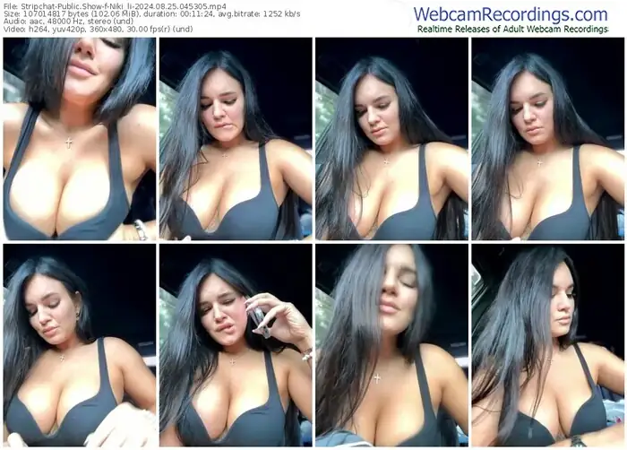 stripchat-niki_li-08-25-2024-04-53-05