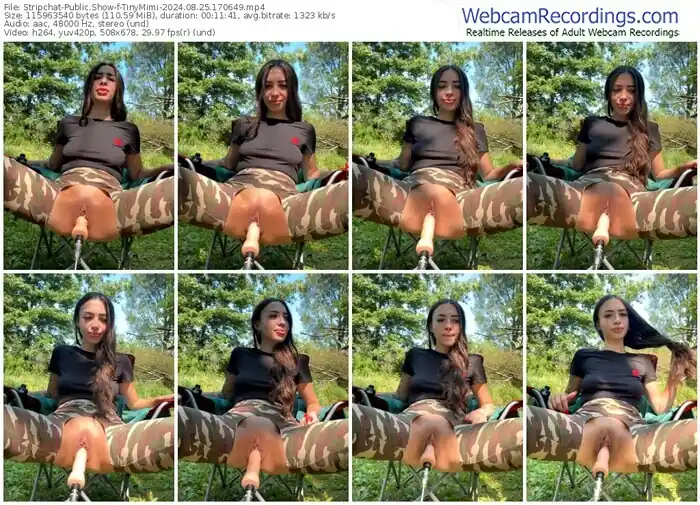 stripchat-tinymimi-08-25-2024-17-06-49