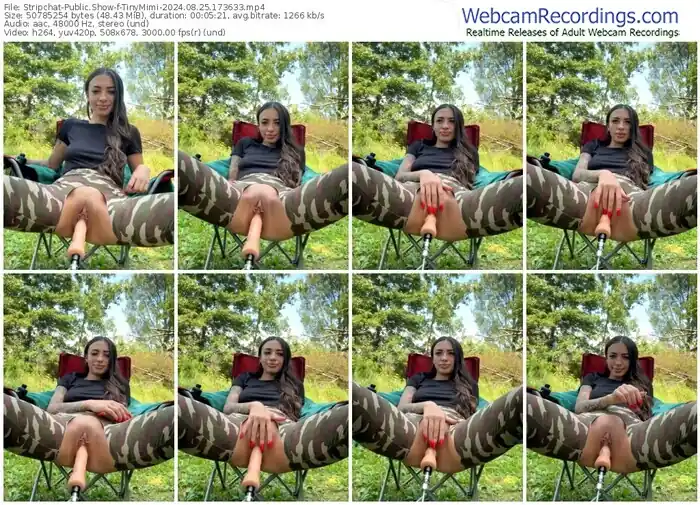 stripchat-tinymimi-08-25-2024-17-36-33