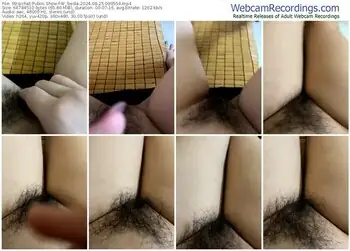 stripchat-w_beola-08-25-2024-09-05-54