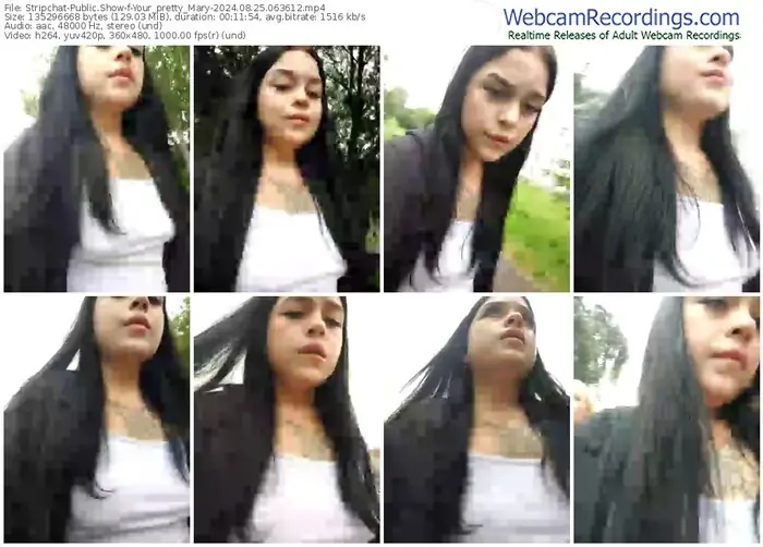 stripchat-your_pretty_mary-08-25-2024-06-36-12