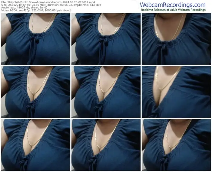 stripchat-tamil-noorbegum-08-25-2024-02-30-02