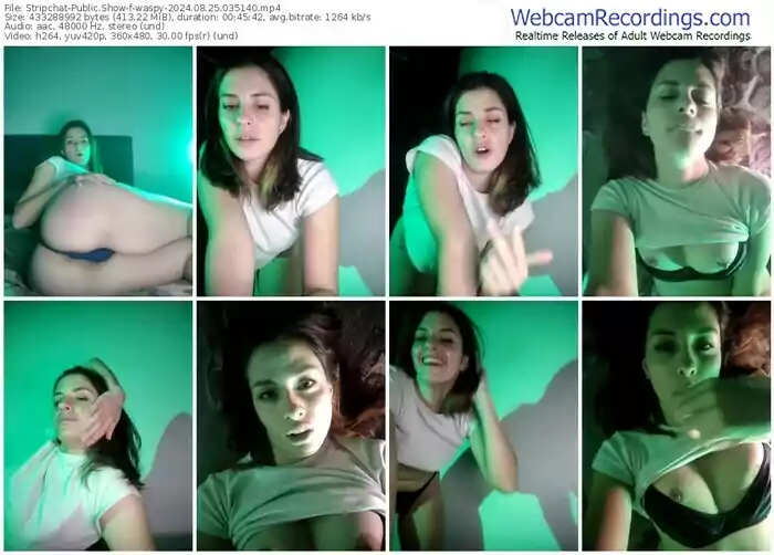 stripchat-waspy-08-25-2024-03-51-40