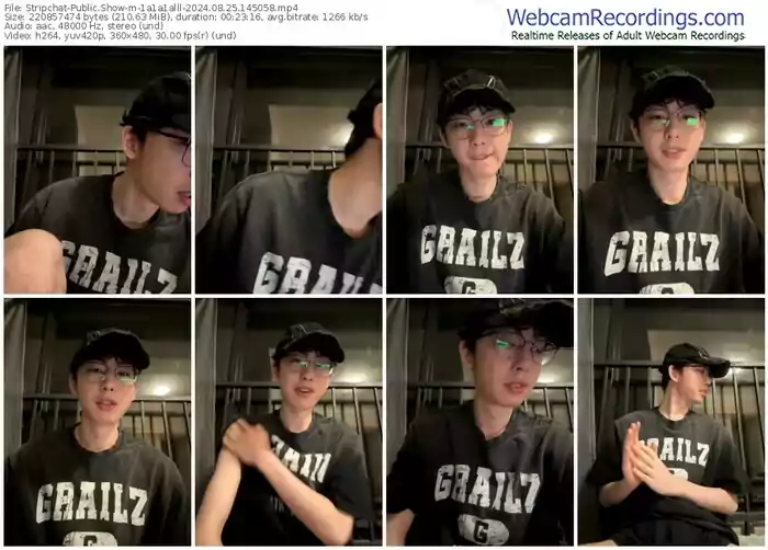 stripchat-1a1a1alll-08-25-2024-14-50-58