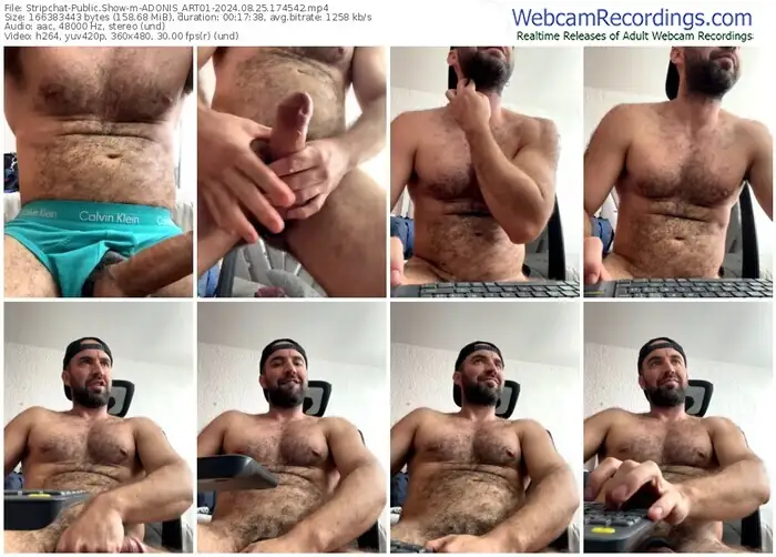 stripchat-adonis_art01-08-25-2024-17-45-42