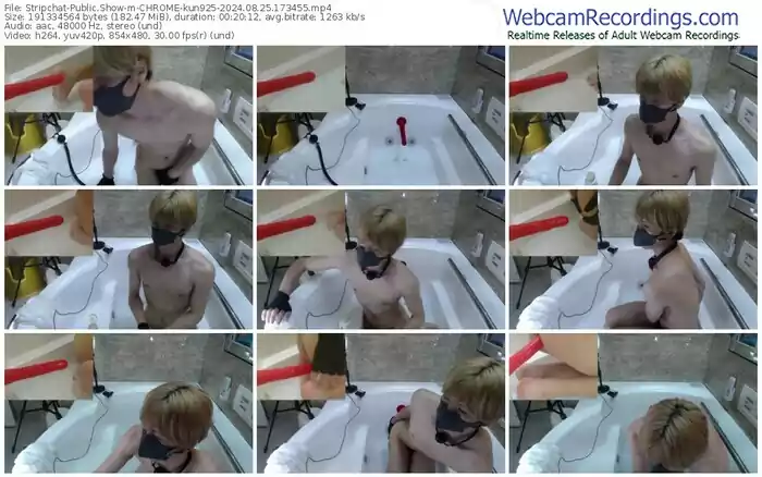 stripchat-chrome-kun925-08-25-2024-17-34-55