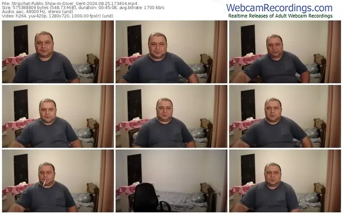 stripchat-diver_gent-08-25-2024-17-34-04