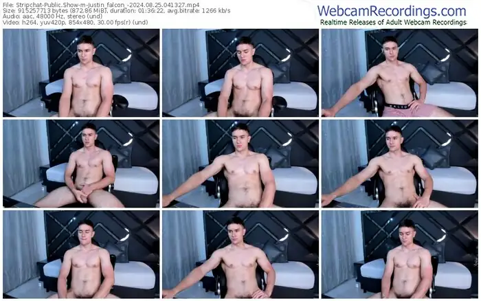 stripchat-justin_falcon_-08-25-2024-04-13-27