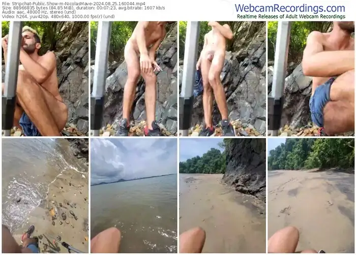 stripchat-nicolasmave-08-25-2024-16-00-44