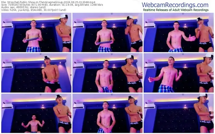 stripchat-thevoraginegroup-08-25-2024-01-20-48