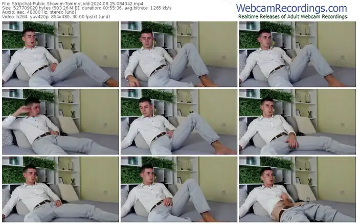 stripchat-tommylidd-08-25-2024-08-43-42