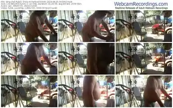 stripchat-herbie010666-08-25-2024-04-30-02