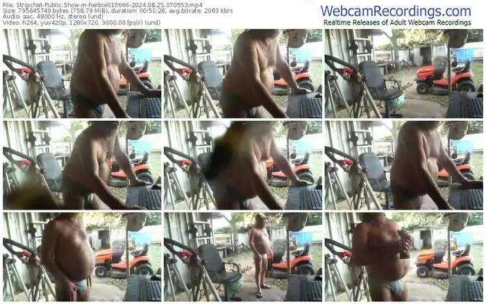stripchat-herbie010666-08-25-2024-07-05-53