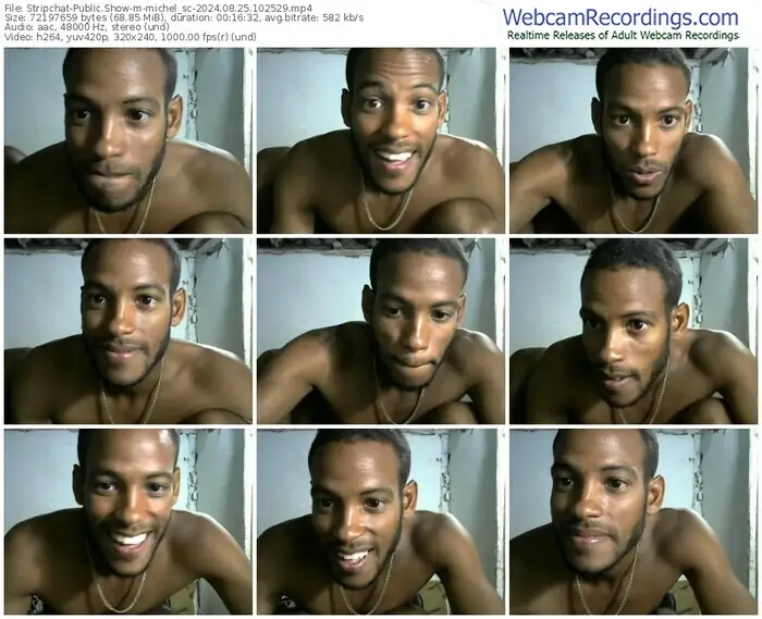 stripchat-michel_sc-08-25-2024-10-25-29