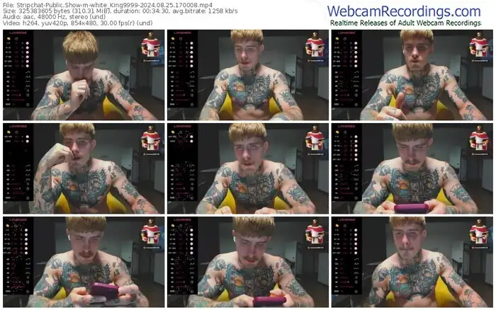 stripchat-white_king9999-08-25-2024-17-00-08