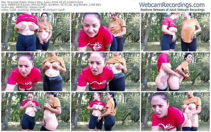 stripchat-amy_samy-08-25-2024-10-46-00