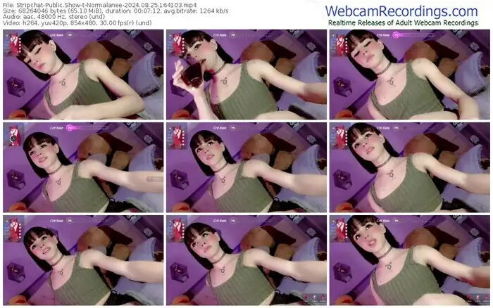 stripchat-normalanee-08-25-2024-16-41-03