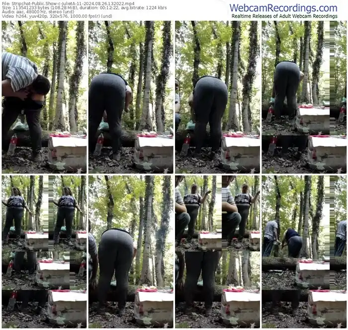 stripchat-julieta-11-08-26-2024-13-20-22