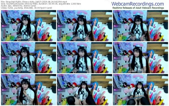 stripchat-kitty_kat15-08-26-2024-04-23-54