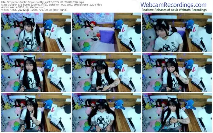 stripchat-kitty_kat15-08-26-2024-08-17-26