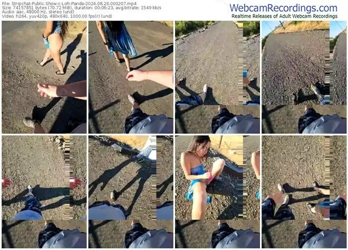 stripchat-lofi-panda-08-26-2024-00-02-07